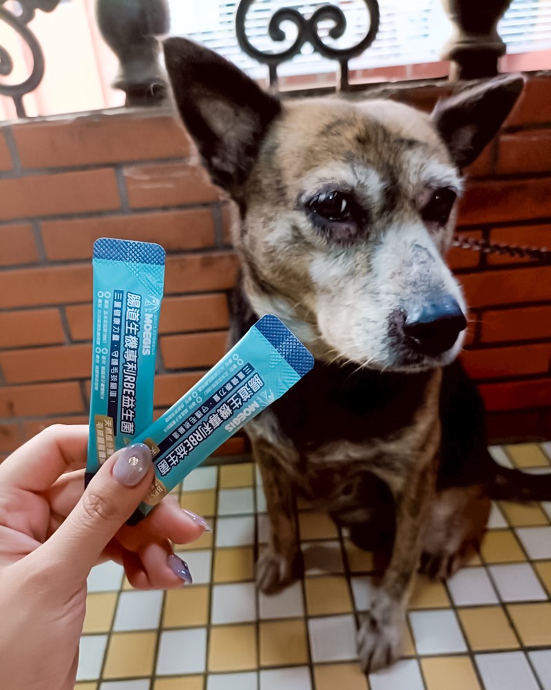 女人知己試用大隊,口碑行銷,部落客行銷,Moegis萌吉 腸道生機專利RBE益生菌,寵物益生菌,專利RBE益生元,專利蔬果酵素,小分子胜肽,藍藻粉,維持免疫力,幫助維持消化道機能,維持正常食慾,改變細菌叢生態,腸胃保健,犬貓適用